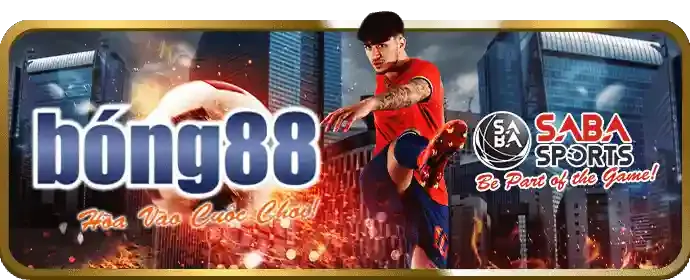 Giới thiệu chương trình VIP vbet